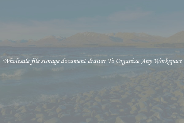 Wholesale file storage document drawer To Organize Any Workspace