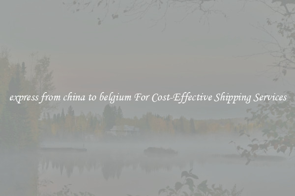 express from china to belgium For Cost-Effective Shipping Services