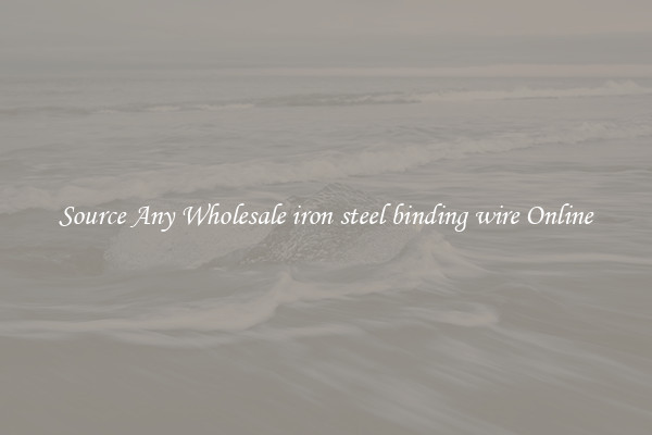 Source Any Wholesale iron steel binding wire Online