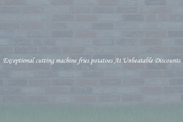 Exceptional cutting machine fries potatoes At Unbeatable Discounts