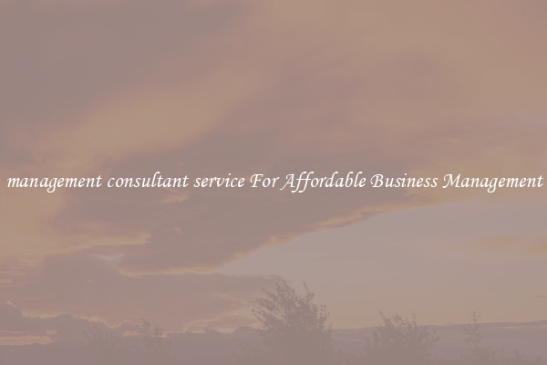 management consultant service For Affordable Business Management