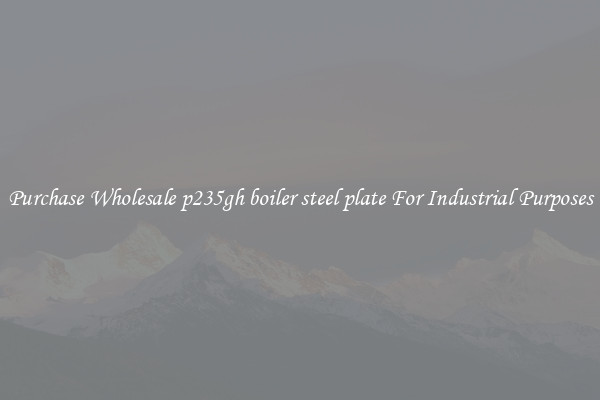 Purchase Wholesale p235gh boiler steel plate For Industrial Purposes