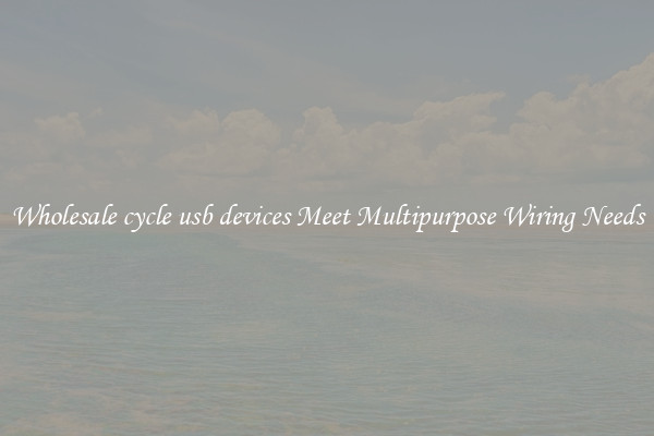 Wholesale cycle usb devices Meet Multipurpose Wiring Needs