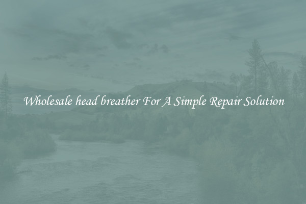 Wholesale head breather For A Simple Repair Solution