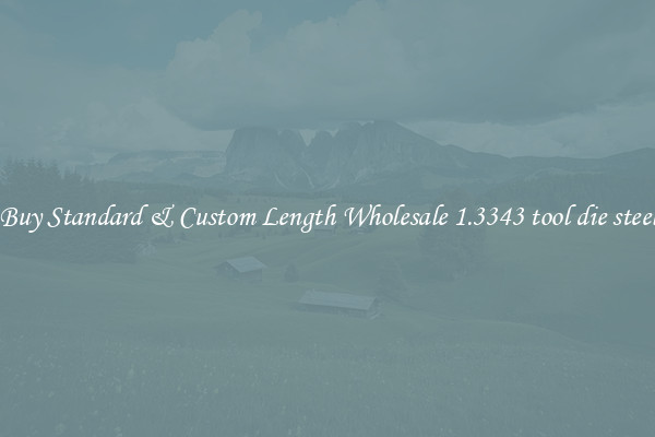 Buy Standard & Custom Length Wholesale 1.3343 tool die steel