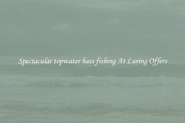 Spectacular topwater bass fishing At Luring Offers