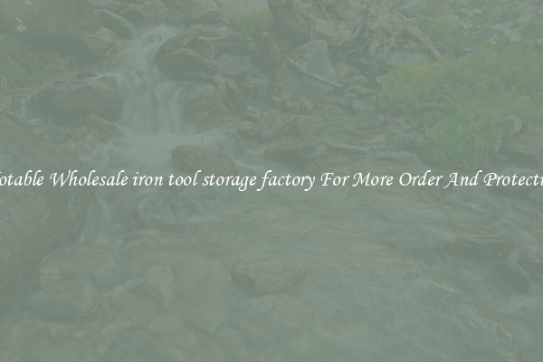 Notable Wholesale iron tool storage factory For More Order And Protection
