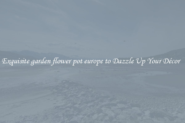 Exquisite garden flower pot europe to Dazzle Up Your Décor  