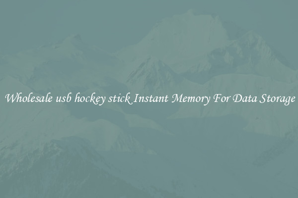 Wholesale usb hockey stick Instant Memory For Data Storage