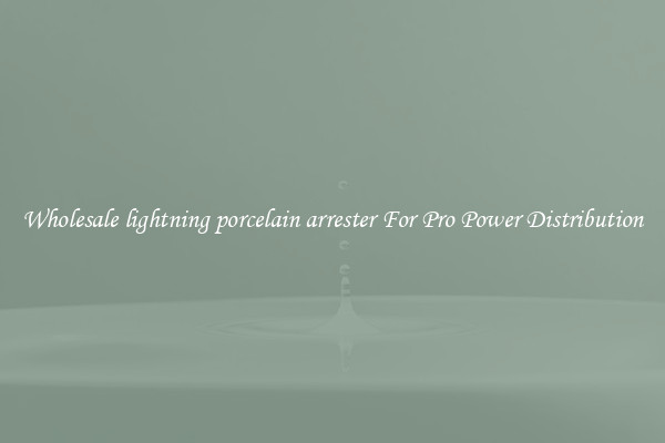 Wholesale lightning porcelain arrester For Pro Power Distribution