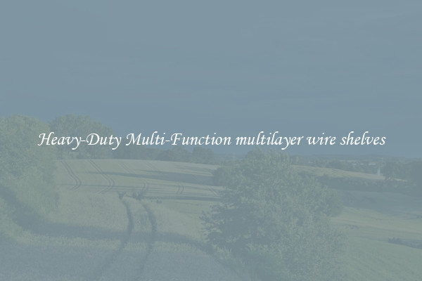 Heavy-Duty Multi-Function multilayer wire shelves