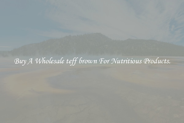 Buy A Wholesale teff brown For Nutritious Products.