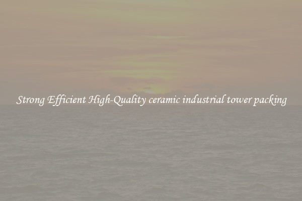 Strong Efficient High-Quality ceramic industrial tower packing