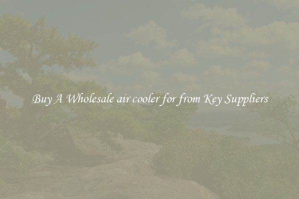 Buy A Wholesale air cooler for from Key Suppliers