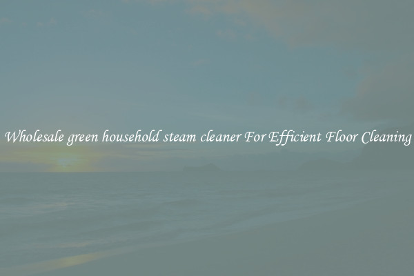Wholesale green household steam cleaner For Efficient Floor Cleaning