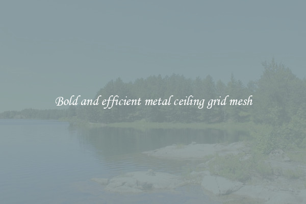 Bold and efficient metal ceiling grid mesh